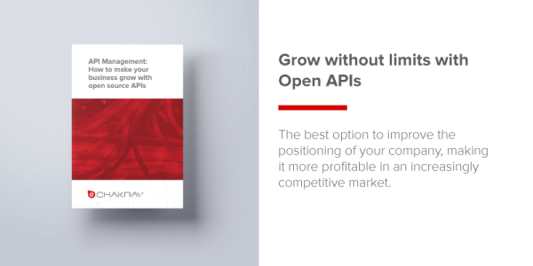 Api Management Ebook