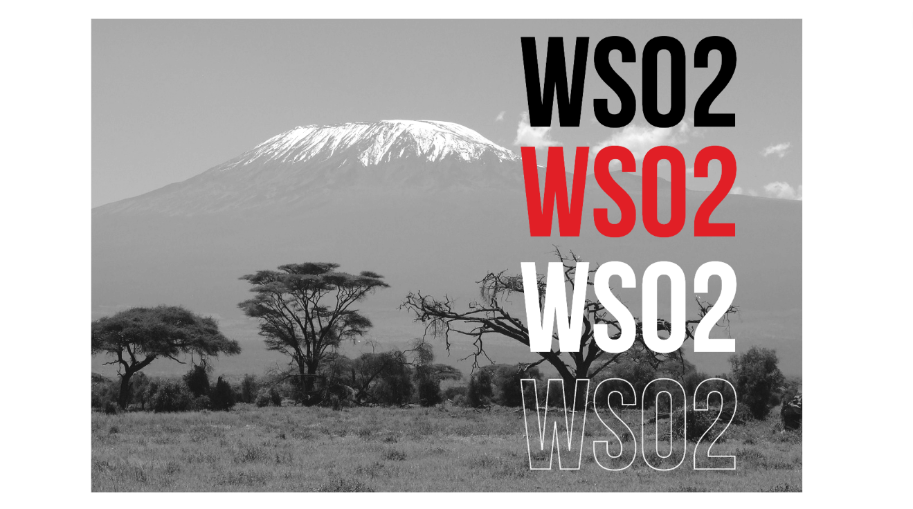 WSO2 Partner in Tanzania