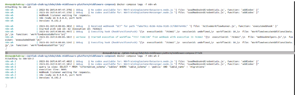 Logs output from the container after the query.